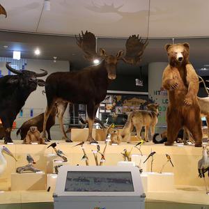 [경북] 국립낙동강생물자원관/경북여행/상주/가볼만한곳/박물관/생태체험/전시/체험/아이랑가볼만한곳