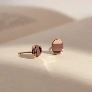 [더블유비엘]14k post 스완 귀걸이   (윙블링)