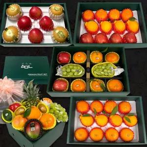 프리미엄 과일혼합 선물세트 5종(사과2 레드향2 천혜향2 한라봉2 샤인2) 4.5kg / 10종 (5.5kg)