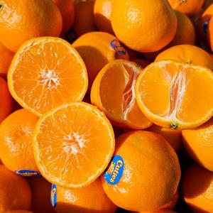 수입 만다린 3KG 고당도 맛있는 귤 미국