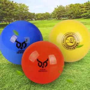 부쿠로혼마 3피스 협회 인증공인구 파크골프공 (B3FUPB07)