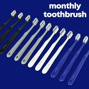 덴클 간편한 휴대용 먼슬리 칫솔 외출용 부드러운 미세모 칫솔 12개