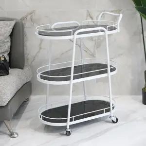 럭셔리 화이트 3단 핸들트롤리 타원형 (WFHJLW7)