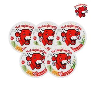 래핑카우 세모포션 에멘탈앤허브 8p 5팩