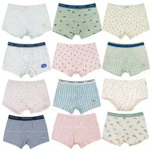 삐삐롱 25 F/W 아동 유아 어린이 데일리 속옷 모달 스판 사각 드로즈 팬티