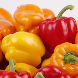 국산 파프리카 3kg 국내산 햇파프리카 못난이/실속형 맛있는 신선한 빨강 노랑 주황