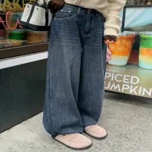 2587 빅기모 스냅버튼 와이드 데님 (one color)