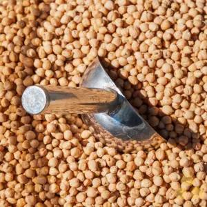 캐나다산 병아리콩 2kg - 정성든농수산