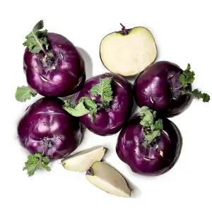 청정 제주의 햇살을 머금은 아삭달콤 콜라비 콜리브리 정품 10kg(포장재포함)