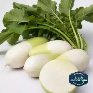 [프레시서산아그로]국내산 무청제거 천수무 2단