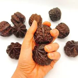 손바닥 마사지볼 호두 모양 손지압다리 1P 스트레스 해소 독서용 (WFJ5TM2)