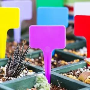 식물 이름표 T자형 라벨 퍼플 화분 표기식물 원예용품 (WFK9W4W)