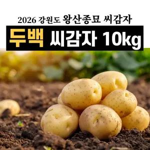 왕산종묘 강원도 두백 씨감자 종자 10kg