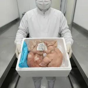 [업소용 도매] 당일도축 한돈 돼지부속 돼지머리 오소리감투 내장