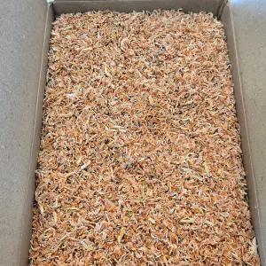 [품질보장] 바다찬미 국내산 햇 밥새우(최상급) 1.5kg 아기 밥새우