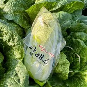 [해남미소] 시골상점 쌈배추 12통
