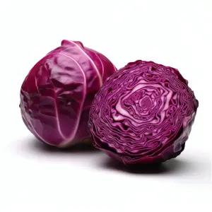 국내산 적채 8kg 적양배추 샐러드채소