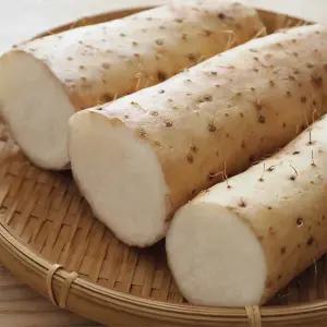 국내산 안동마 장마 2kg 생마 참마