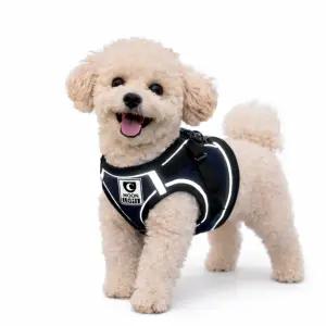 견생공감 강아지하네스 H형 하네스