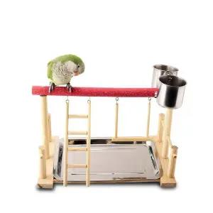 (B급) 앵무새 횟대 부리갈이 놀이터 횃대