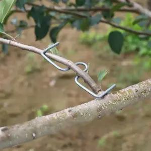 나뭇가지 고정 클립 집게 복숭아 화초 줄기 줄기 묘목 나무가지 지지대