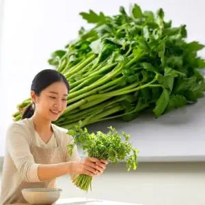 포미식탁 국내산 돌미나리 1kg