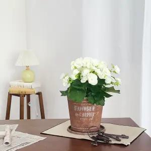 피클레온 양철 스타일 높은 원통 화분 (소) 20x19cm 플라스틱 인테리어 예쁜 미니 대형 중형 거실 베란다