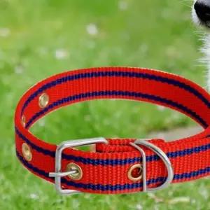 애완견 중형견 개목걸이 라인 중 개줄 목줄 산책줄 유니크한 스타일