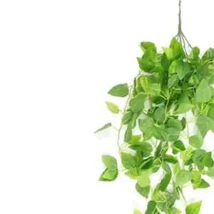 쌍문상회 조화장식 인테리어 담쟁이넝쿨 인조 A