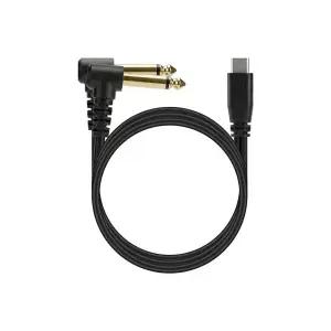 [BITRO]C타입 6.35mm 오디오 케이블 변환컨버터 Y형 1미터 / C to 6.35mm Mono