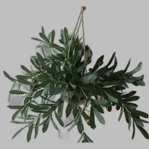 싱그러운 올리브 야자박 가렌더 1P 소품 벽장식 조화