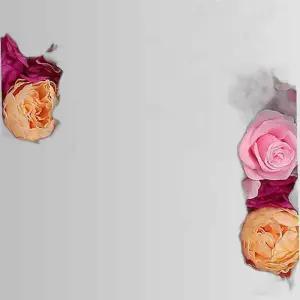 플라워 월 벽꾸미기 조화장식 벽면인테리어