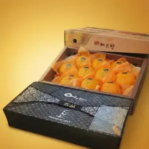 로또마켓 선물세트 고당도 레드향 3KG 5KG 중과 대과 선물세트 가정용