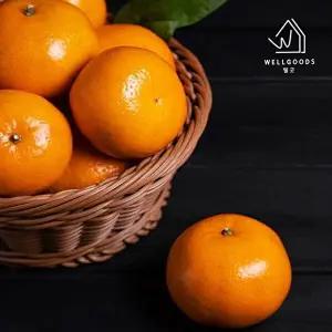 [웰굿][웰굿] 당도선별 제주직송 타이벡 감귤 9kg(소과,2S-S)