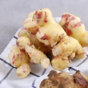 [다농이네][25년햇생강] 봉동 생강 세척생강 1kg