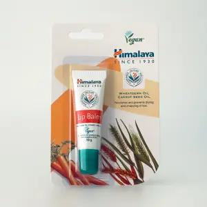 히말라야 립밤 10g 1개