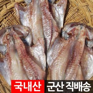 반건조 우럭 2~3미 700g 국내산 군산항/생선