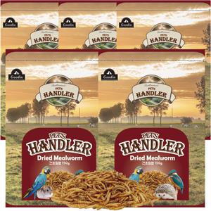 펫츠핸들러 햄스터&고슴도치 영양간식 건조밀웜 리필 150g*5개