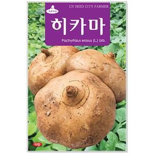 히카마 50립 민속씨앗
