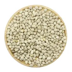 모링가 씨앗 모링가씨 속씨앗 500g