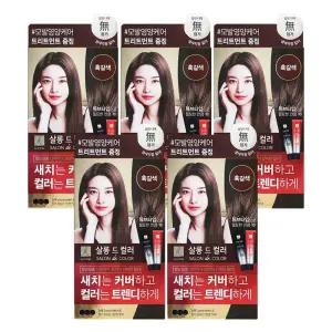 엘지 엘라스틴 염색약 살롱드컬러 흑갈색 X 5개