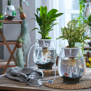 아큐팟 실내 공기정화식물 인테리어 수경재배 화분 어항