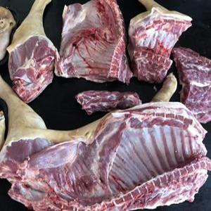 [행복미트] 호주산 염소고기 거세어린염소 반마리 껍데기있음 가정용 4kg내외 수육 전골 염소탕 불고기용 Halal Goat