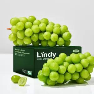 린디 GAP 고당도 샤인머스켓 씨없는 망고포도 비파괴 당도선별 프리미엄 선물세트 3KG 4KG