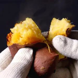 해남 꿀밤 고구마 베니하루카 중, 특상, 대, 한입 / 10kg [대용량]