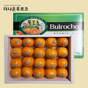 특품 제주 불로초 감귤 가정용 선물용 1.5kg 3kg 내외