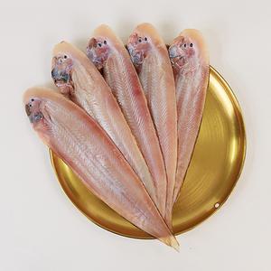 개별진공포장 군산에서 말린 반건조 박대 5미