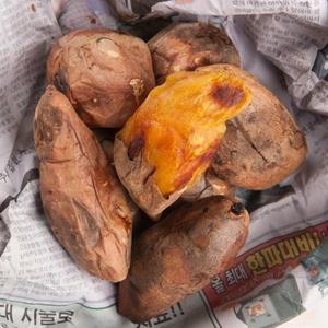 산지직송 해남 꿀 밤고구마 10kg 못난이