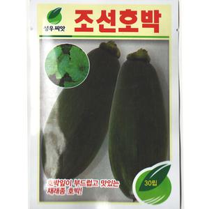 [모종심는아빠] 호박잎이 부드럽고 맛있는 재래종 조선호박 종자30립