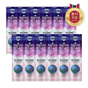 히말라야핑크솔트 바이옴 튜브치약 100g 12개